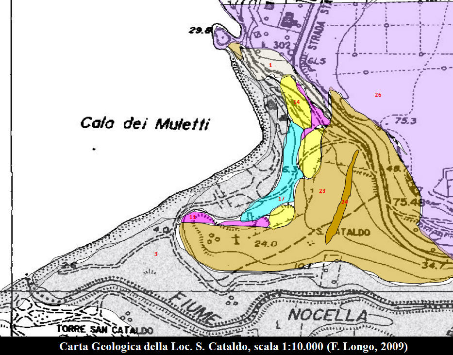 Minerale o fossile
